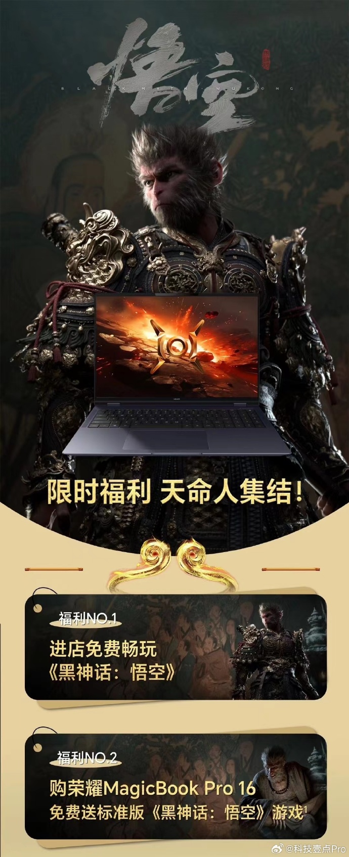 预售价格:理性定价背后的考量