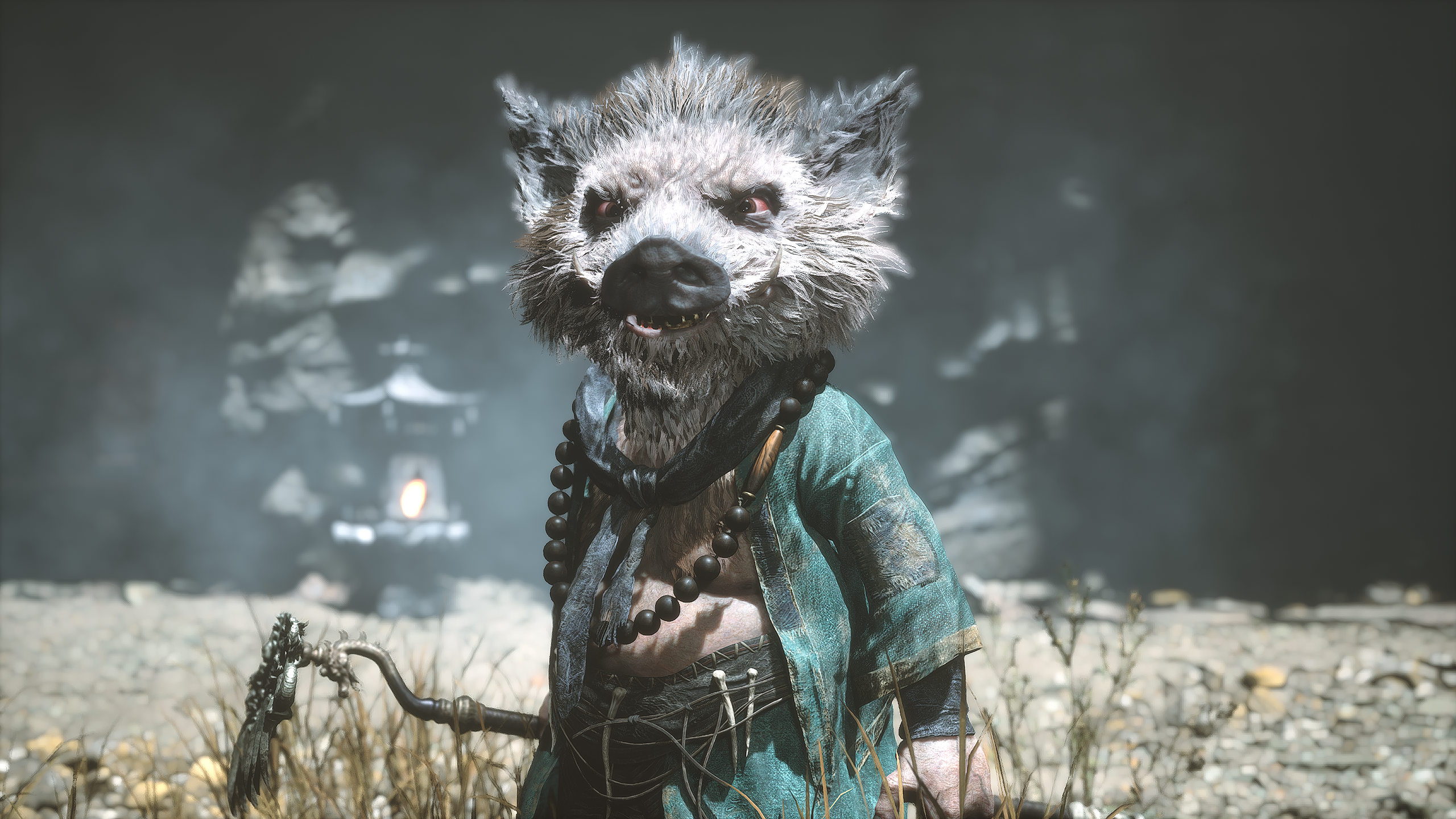 未来可期，期待更多视觉惊喜