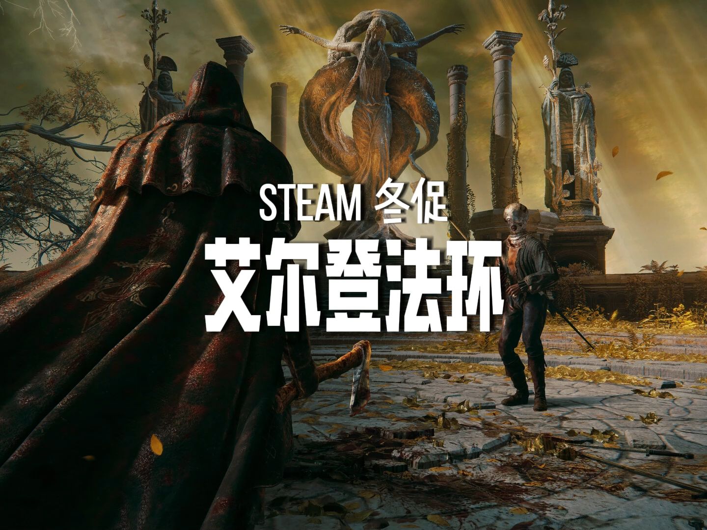 如何获取最新的折扣信息？