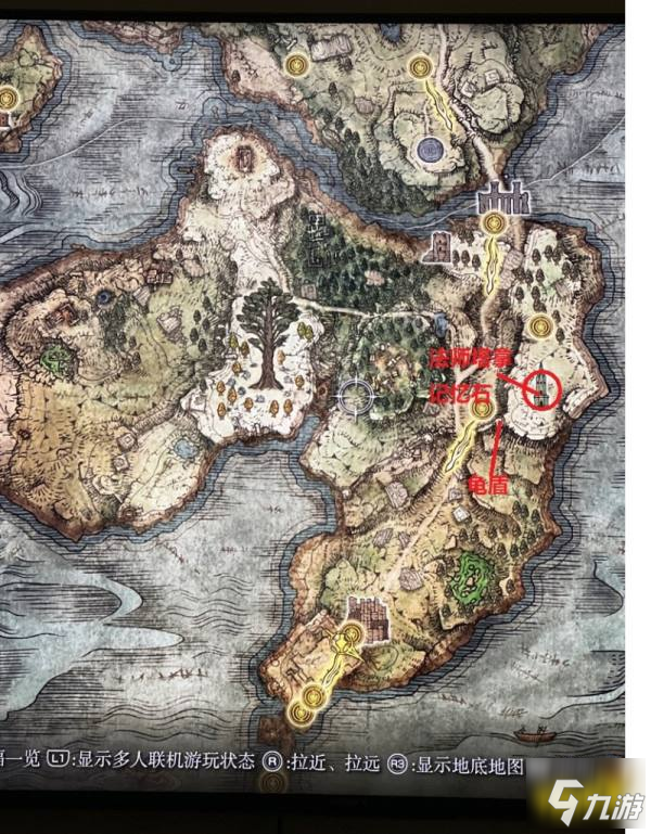 高级玩法：配合队友与战术调整