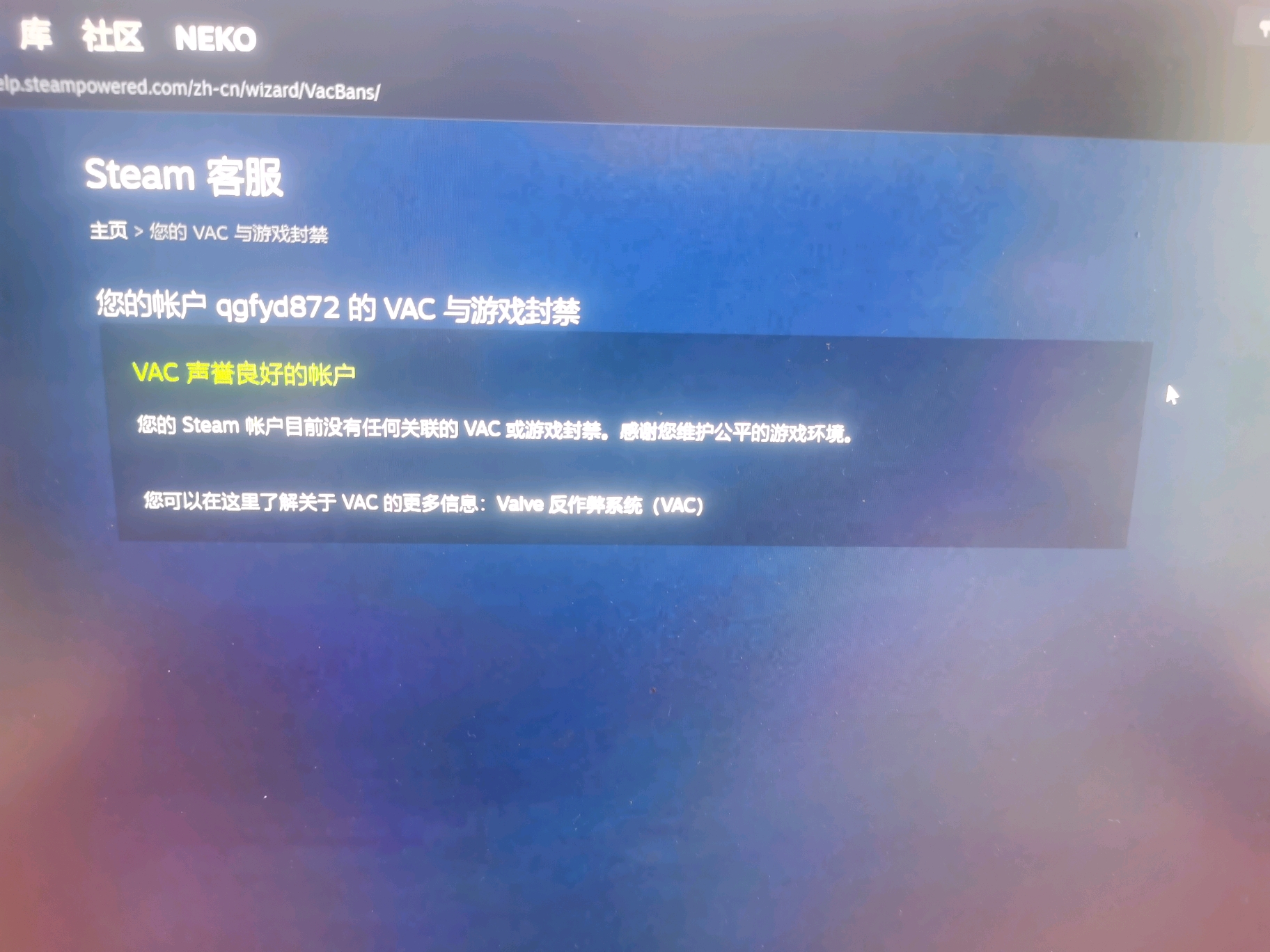 什么是Steam入库工具？它们真的安全吗？