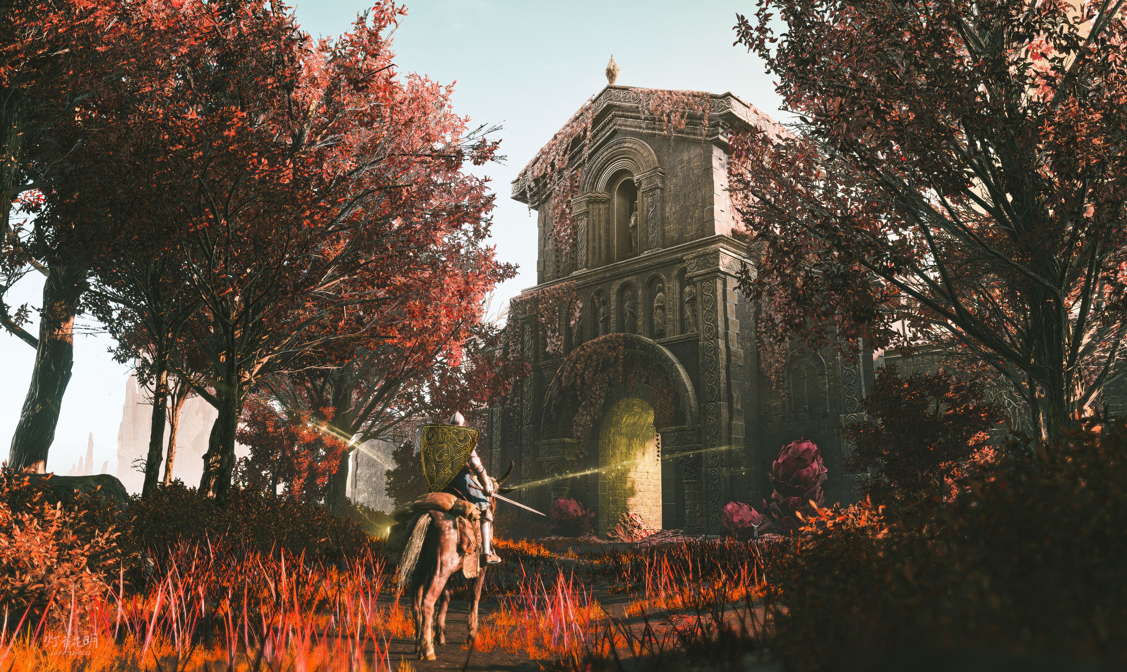 安装过程中的常见问题