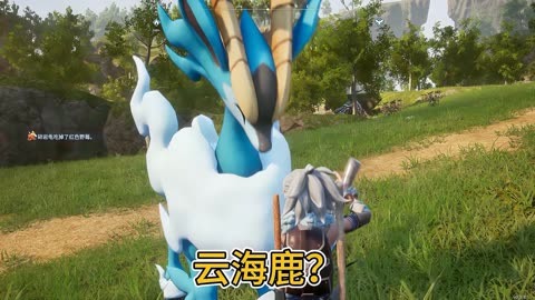 注意事项与小贴士