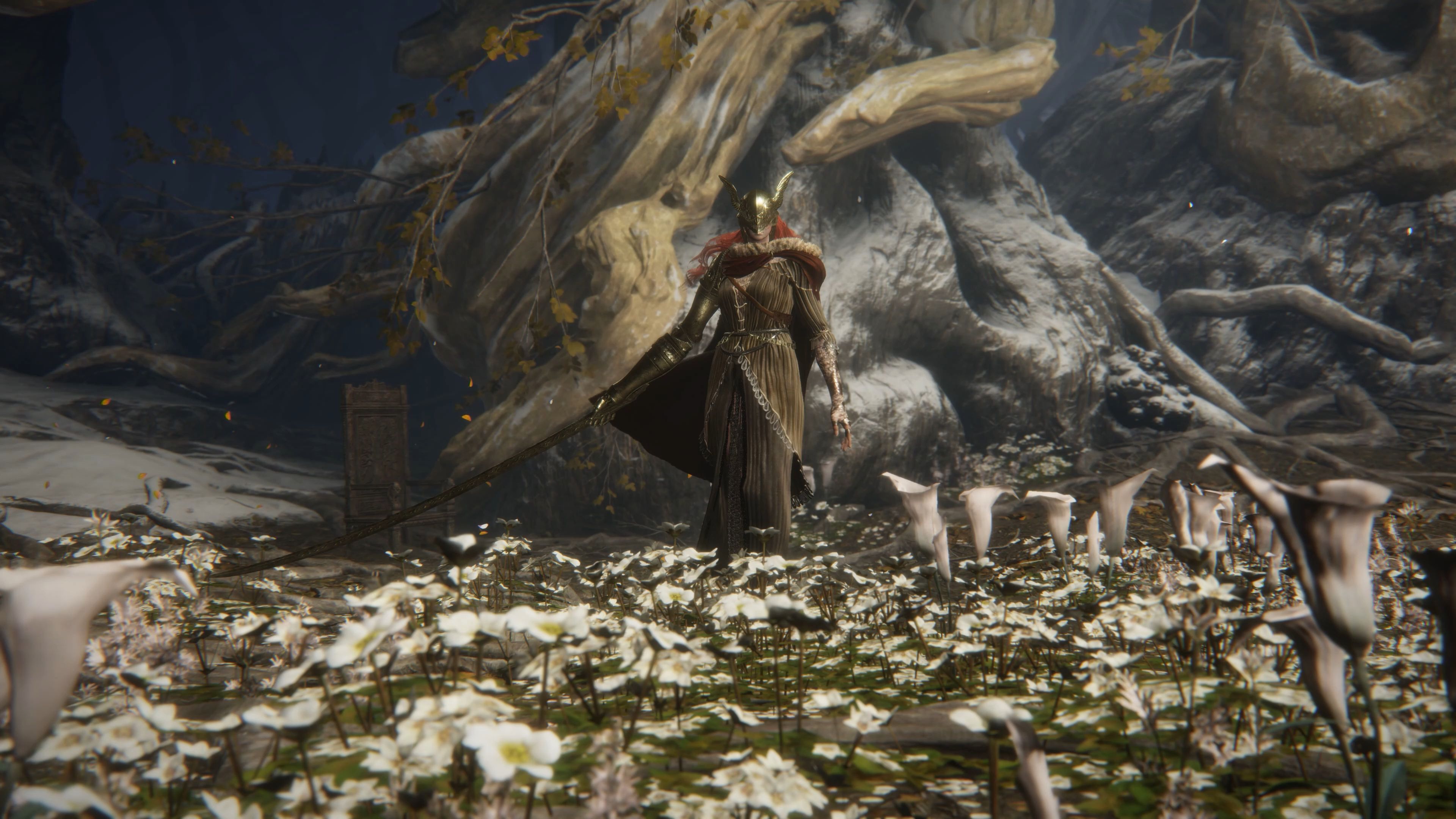 调整游戏画质设置