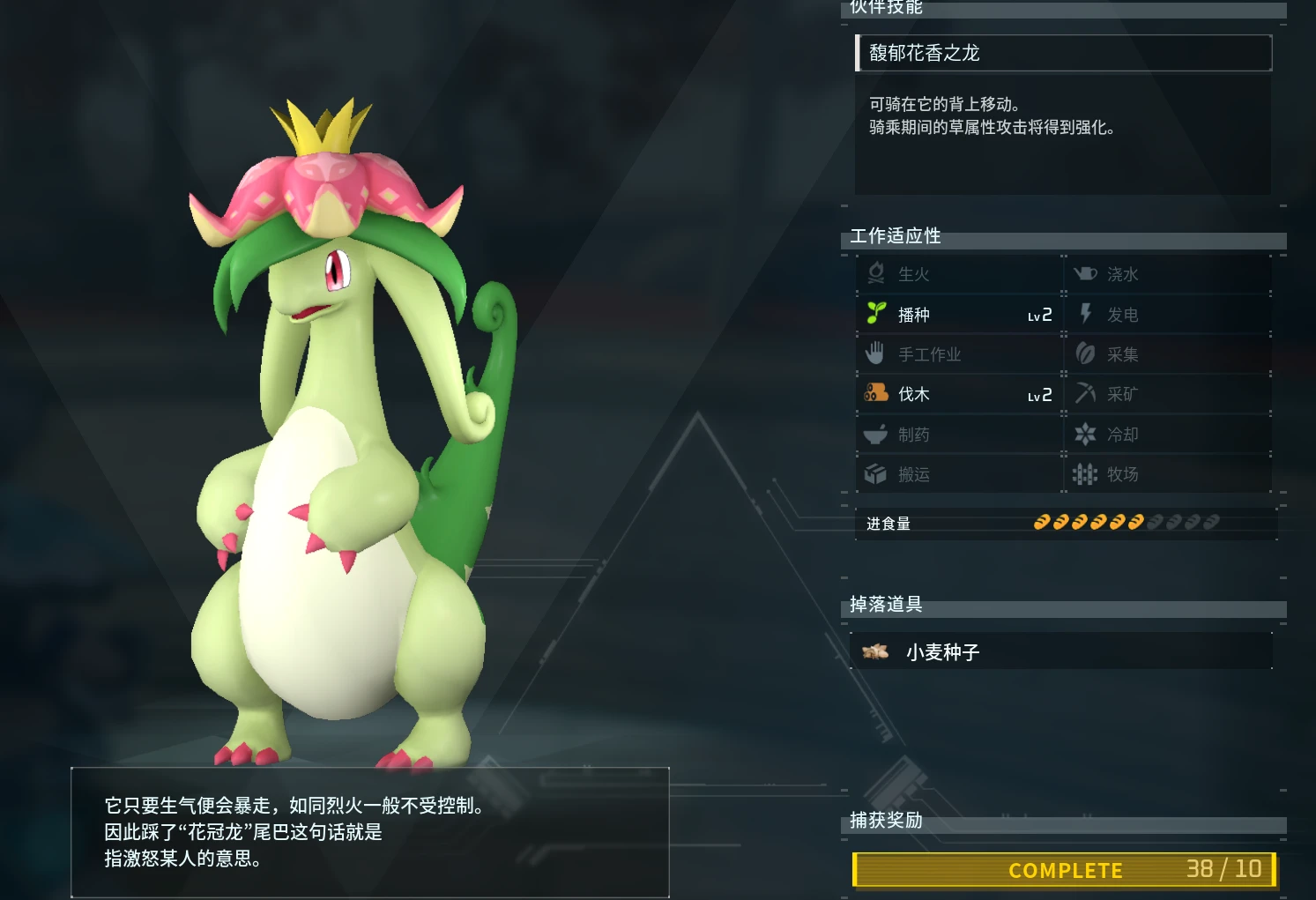 自定义等级的注意事项