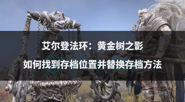 如何查看和管理存档文件？