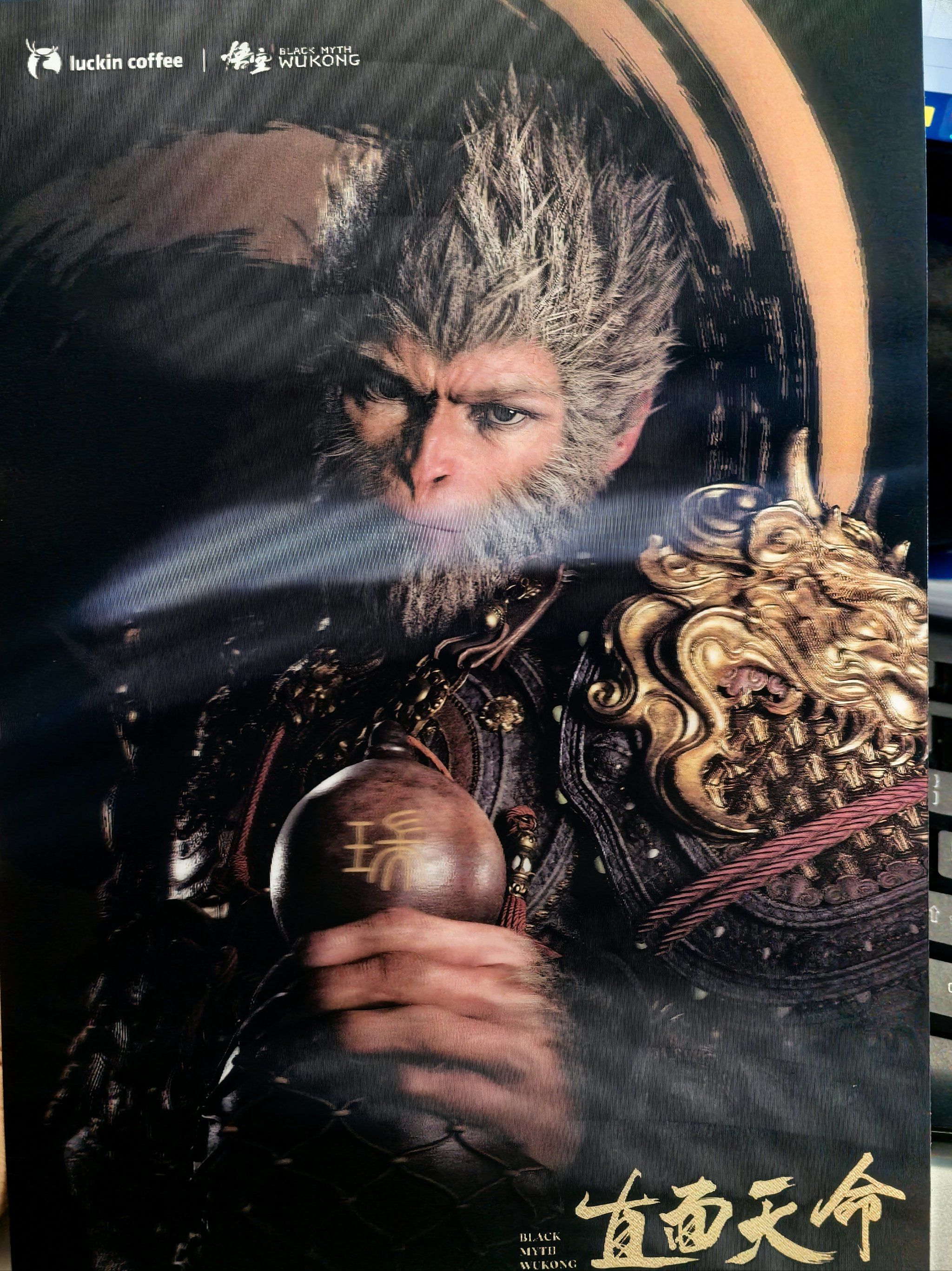 玩法与战斗系统的深度解析