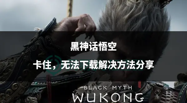 三、第三方平台下载注意事项