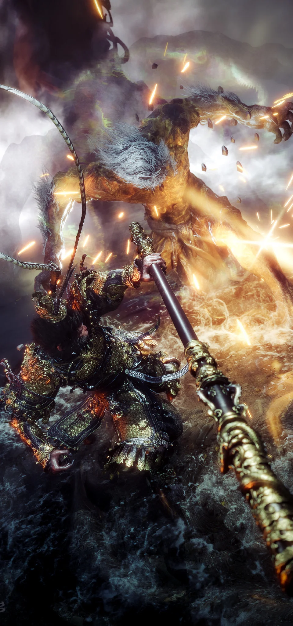 未来展望与期待