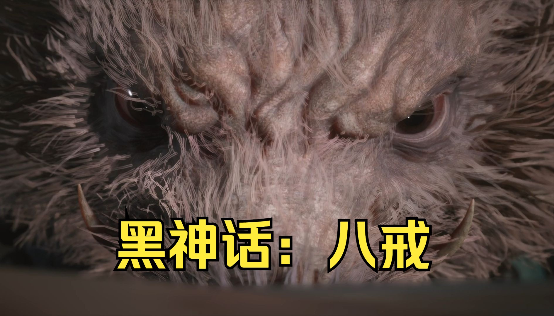 网络上的质疑与猜测