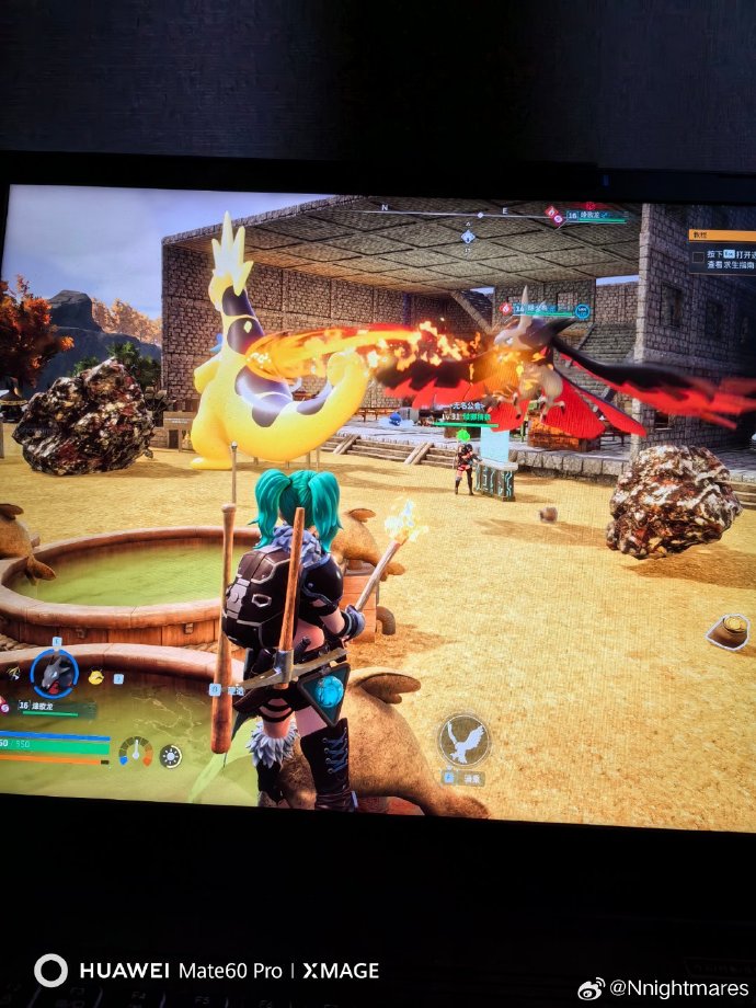 独特的社交系统与合作模式