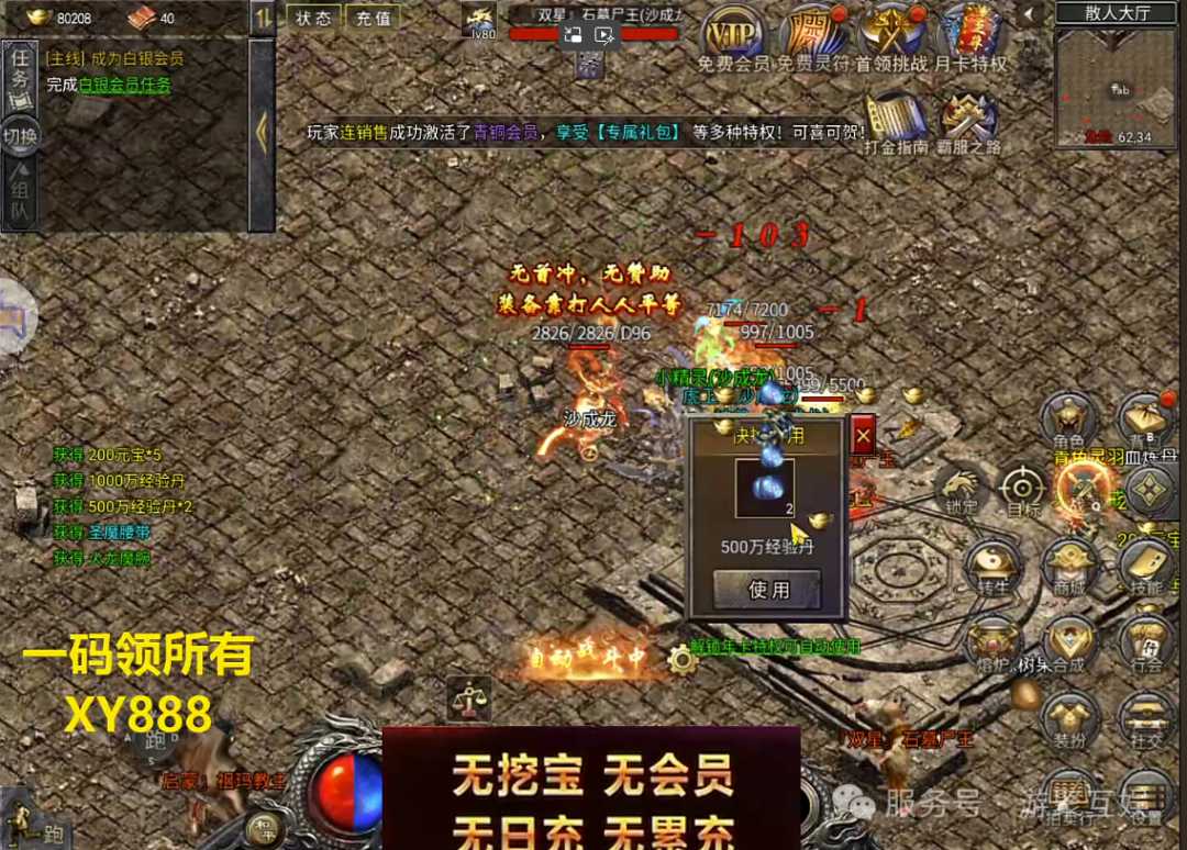 慧眼识珠：挑选最适合你的迷失传奇