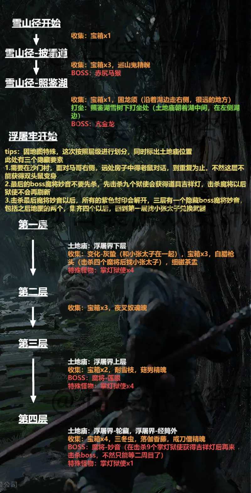 关注社交媒体获取最新资讯