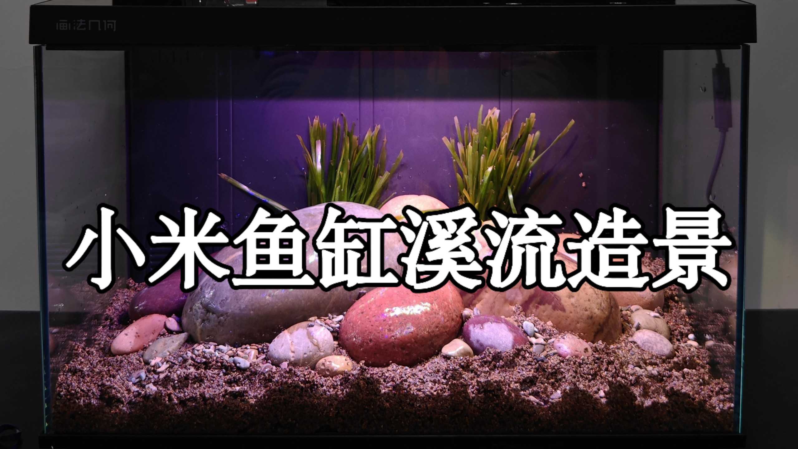 构建沉浸式观看体验