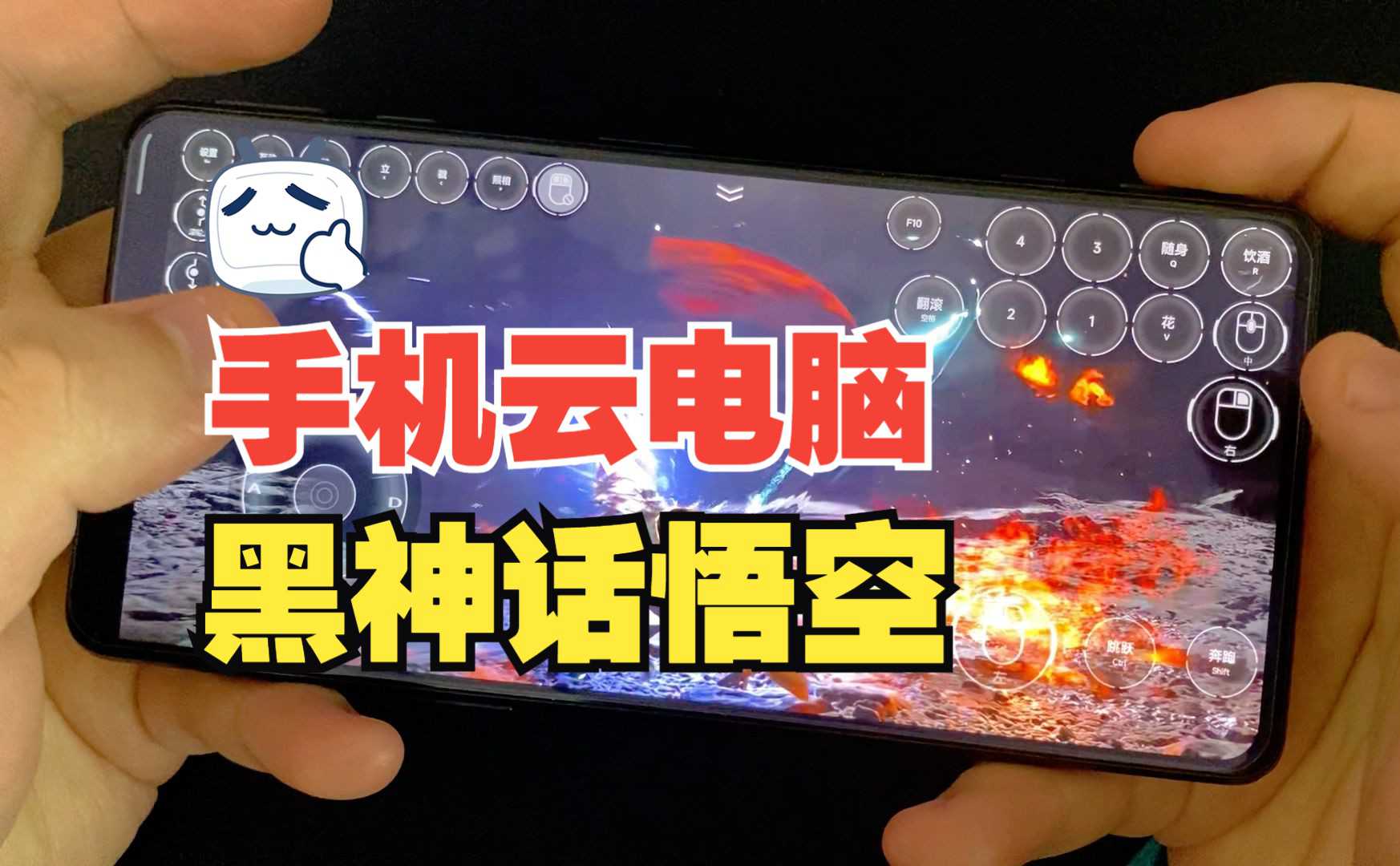 开发者态度及未来展望