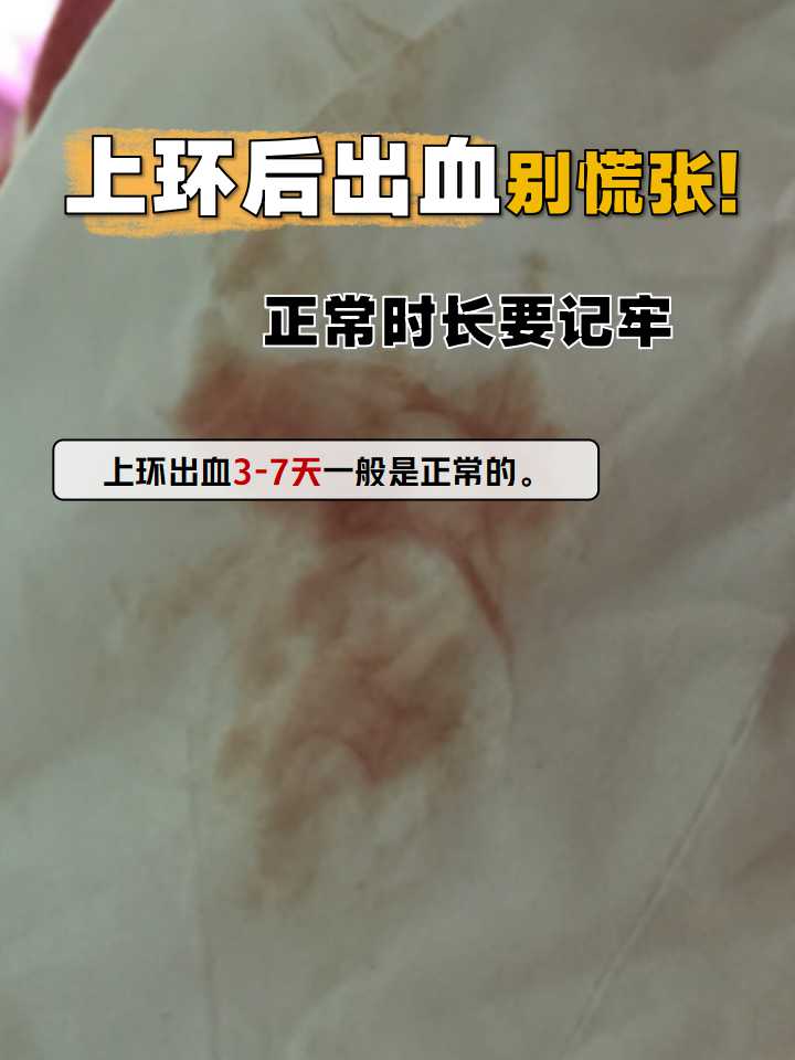 技能搭配建议