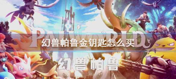 寻找黑市商人的技巧